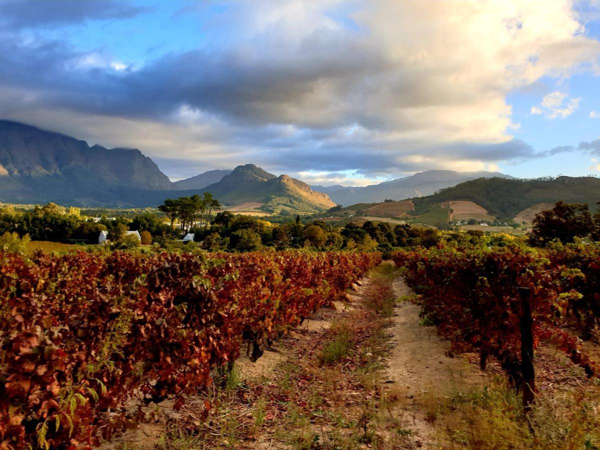 Sunny Lane Apartment Franschhoek Bagian luar foto