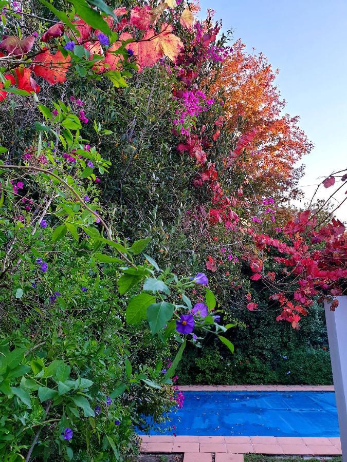 Sunny Lane Apartment Franschhoek Bagian luar foto