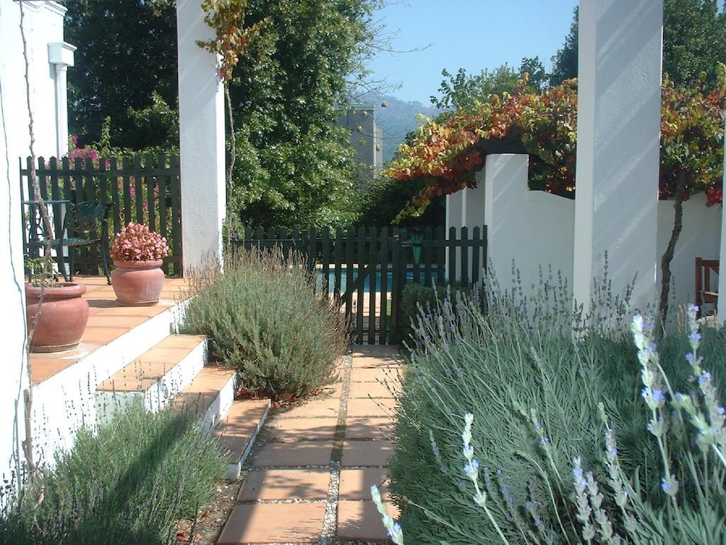 Sunny Lane Apartment Franschhoek Bagian luar foto
