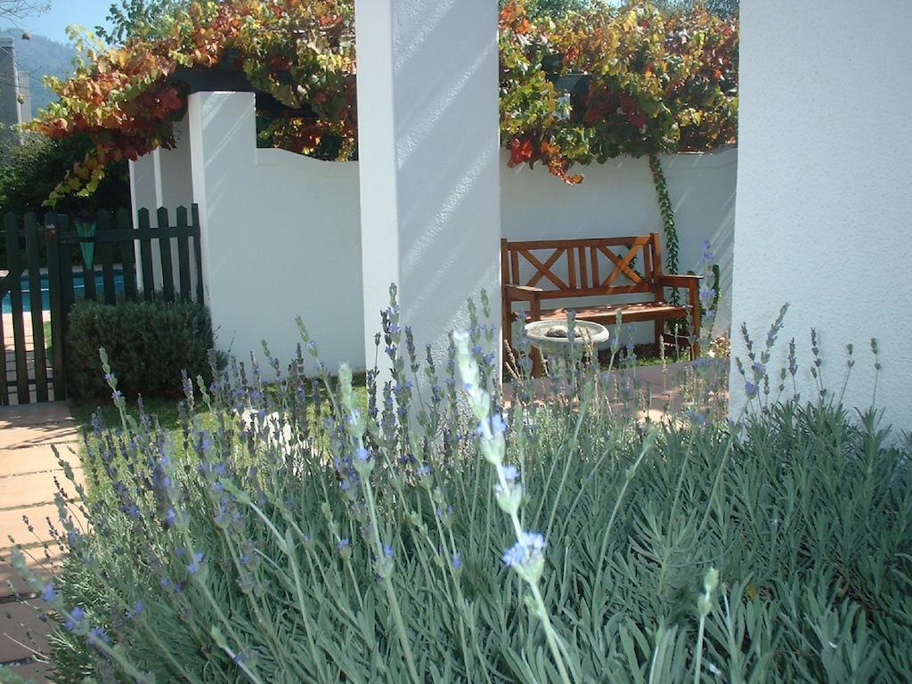 Sunny Lane Apartment Franschhoek Bagian luar foto