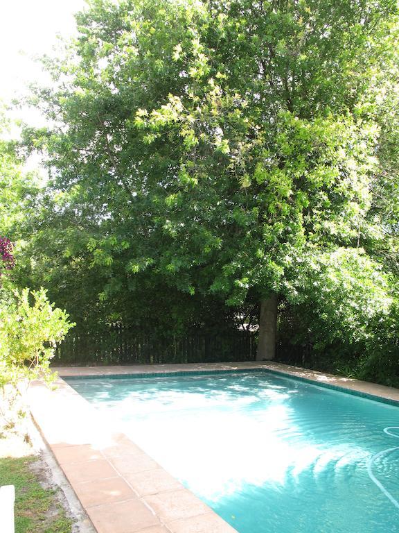 Sunny Lane Apartment Franschhoek Bagian luar foto
