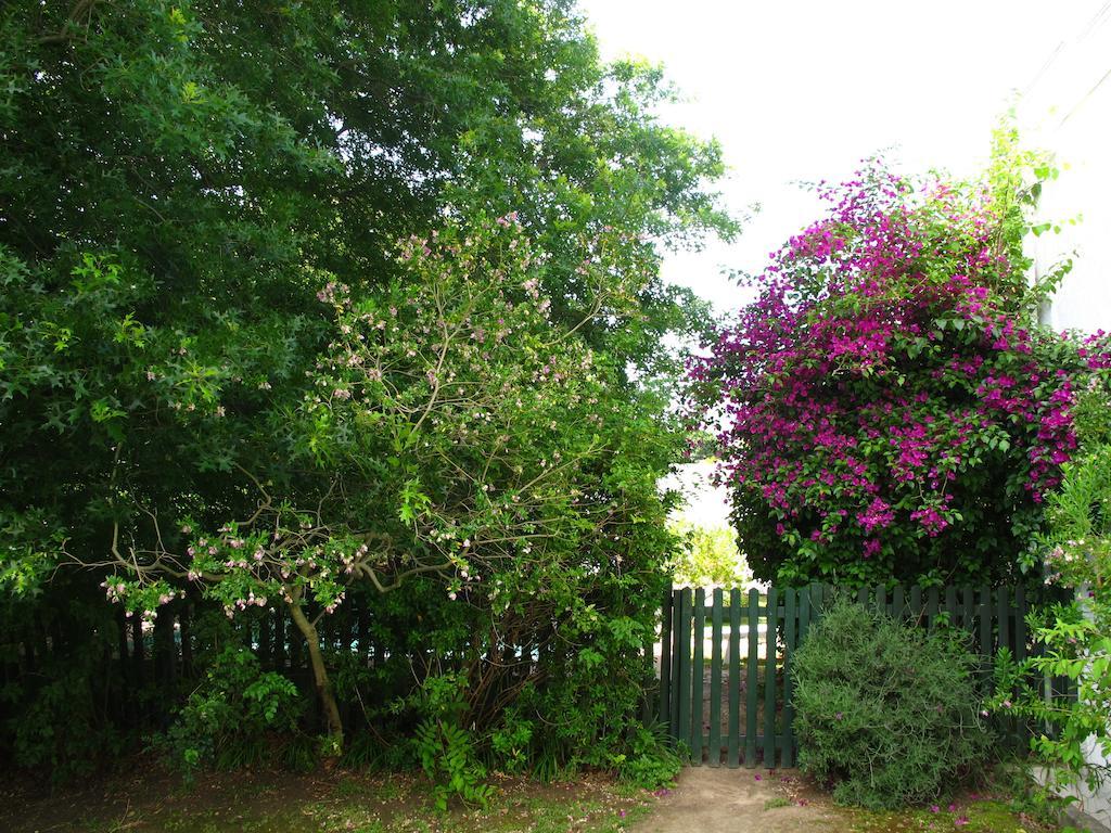Sunny Lane Apartment Franschhoek Bagian luar foto
